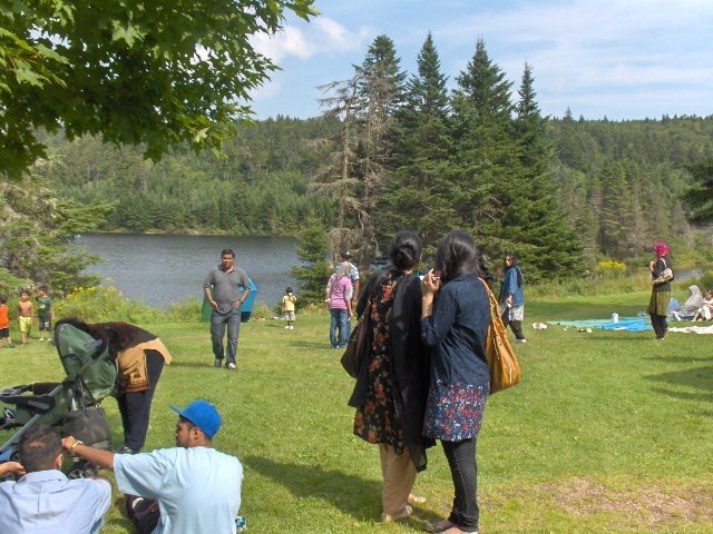 fundynationalparkpicnic.jpg