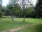 triptobennettlakecricket4_small.jpg