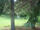 triptobennettlakecricket5_small.jpg